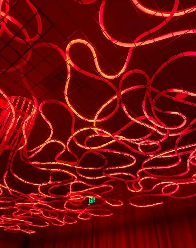 NEON FLEX POR 6M