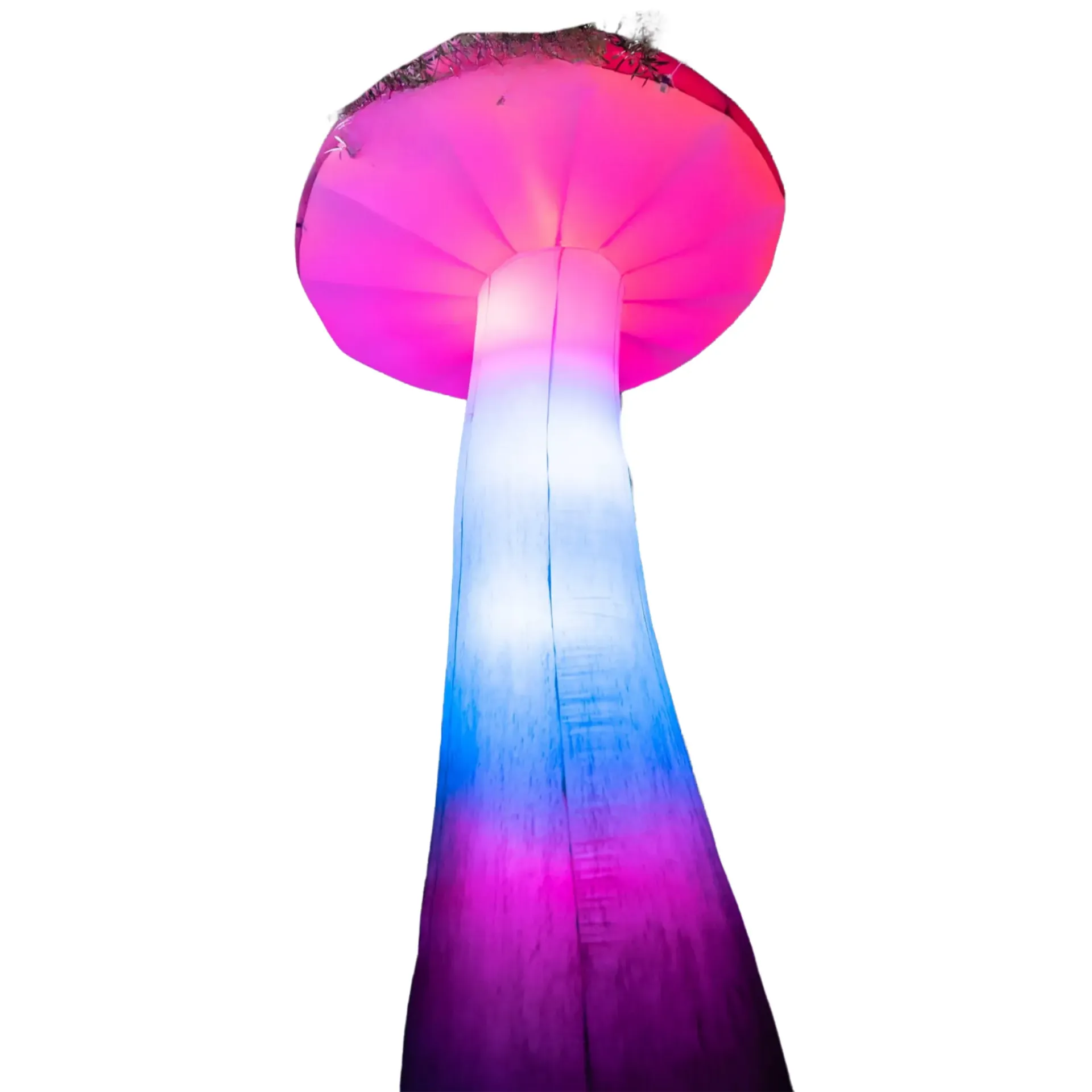 HONGO GRANDE (MORADO)