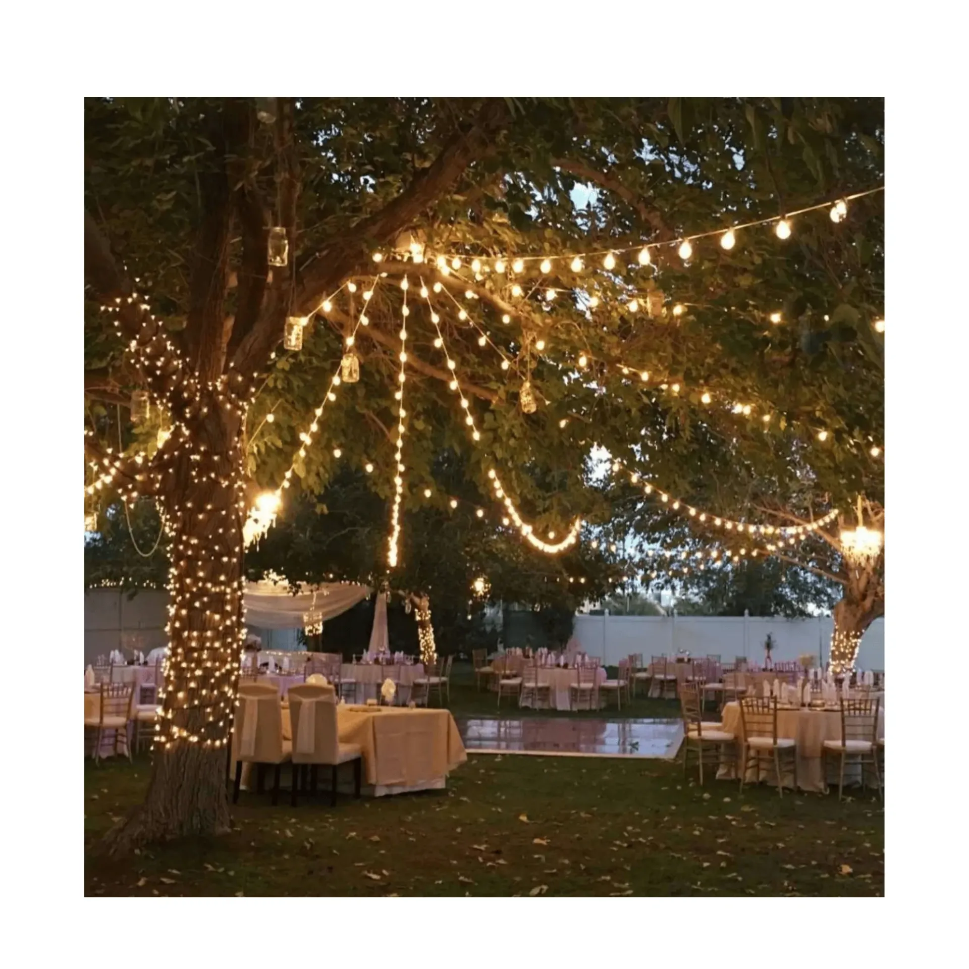Festoon Lighting  1m